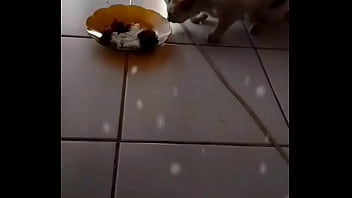 Anita, Si Dewi Malam Yang Menggoda