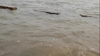 Sensasi Kelinci Shenyang Yang Menggoda