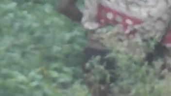 Gadis Desi Mengencingi Dengan Liar